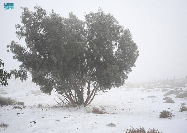 Saudi Arabia's Northern Mountains Are Covered In Snow