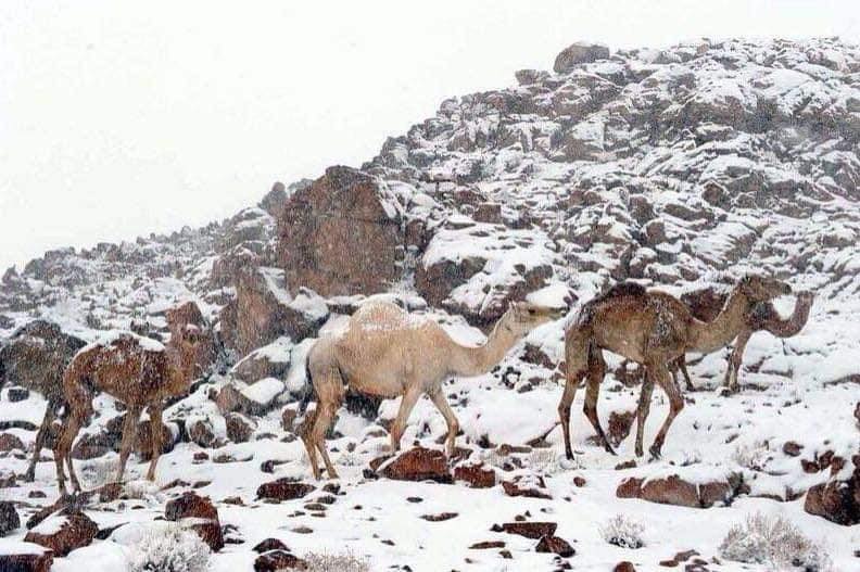 Snow Covers Tabuk's Jabal Al-Lawz