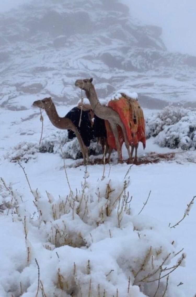Snowing In Some Parts Of Saudi Arabia