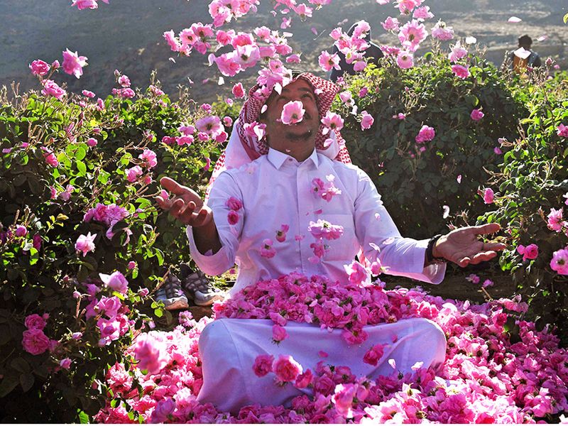 In pictures: Taif, Saudi Arabia's City of Roses