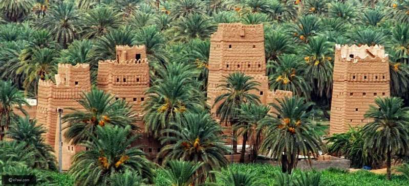 10 Amazing places to visit in Saudi-Arabia