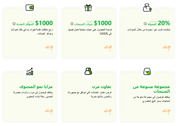 Explore the benefits of Temu's Influencer Program